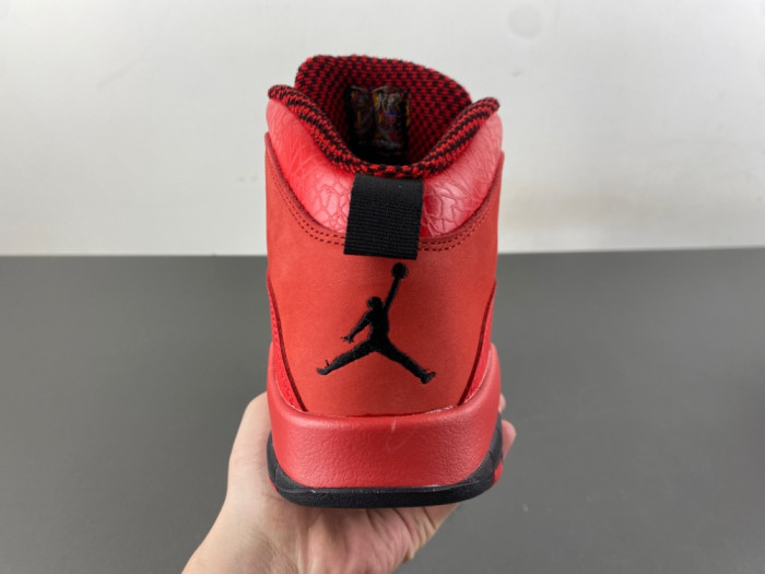 Air Jordan 10 Steve Wiebe HOH AJ9100-625