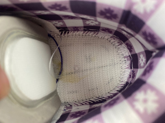 concepts x dunk low sb 