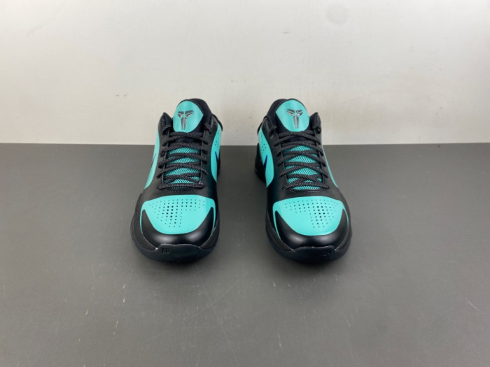 Nike Kobe 5 Protro EYBL Academy PE IH0274-300