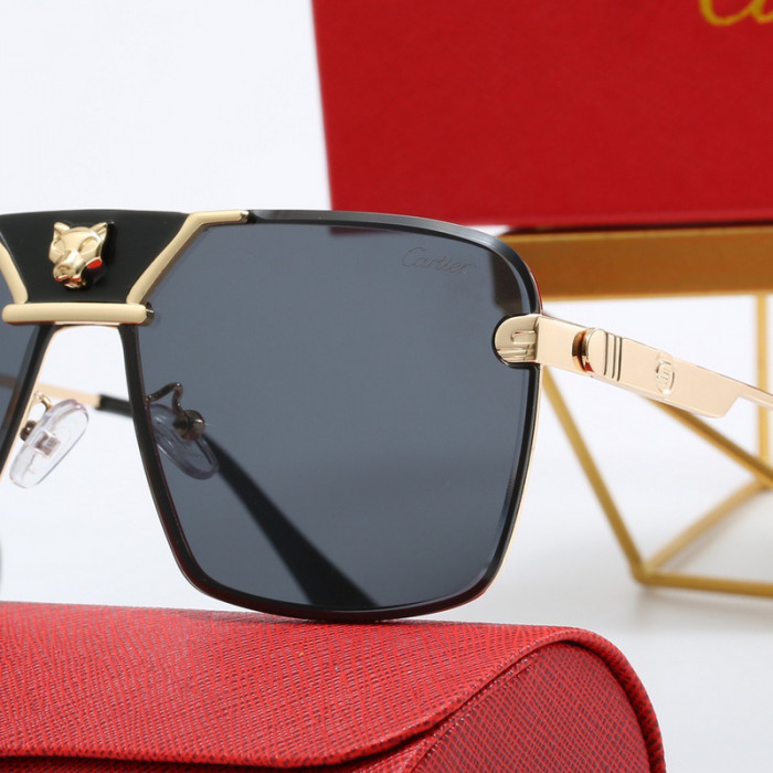 Ca*t1er sunglasses 24628-5