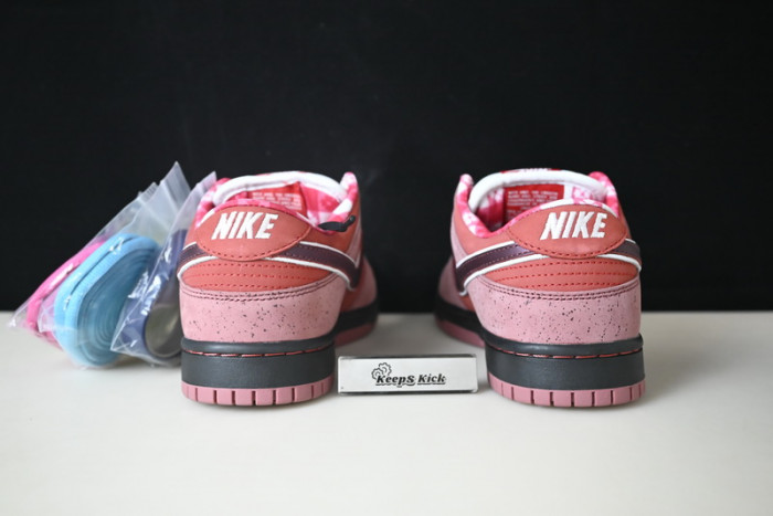 nike sb dunk low concepts red lobster 313170-661